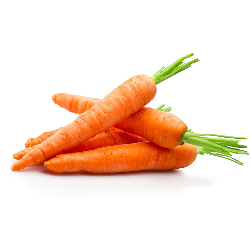 Fresh Carrots
