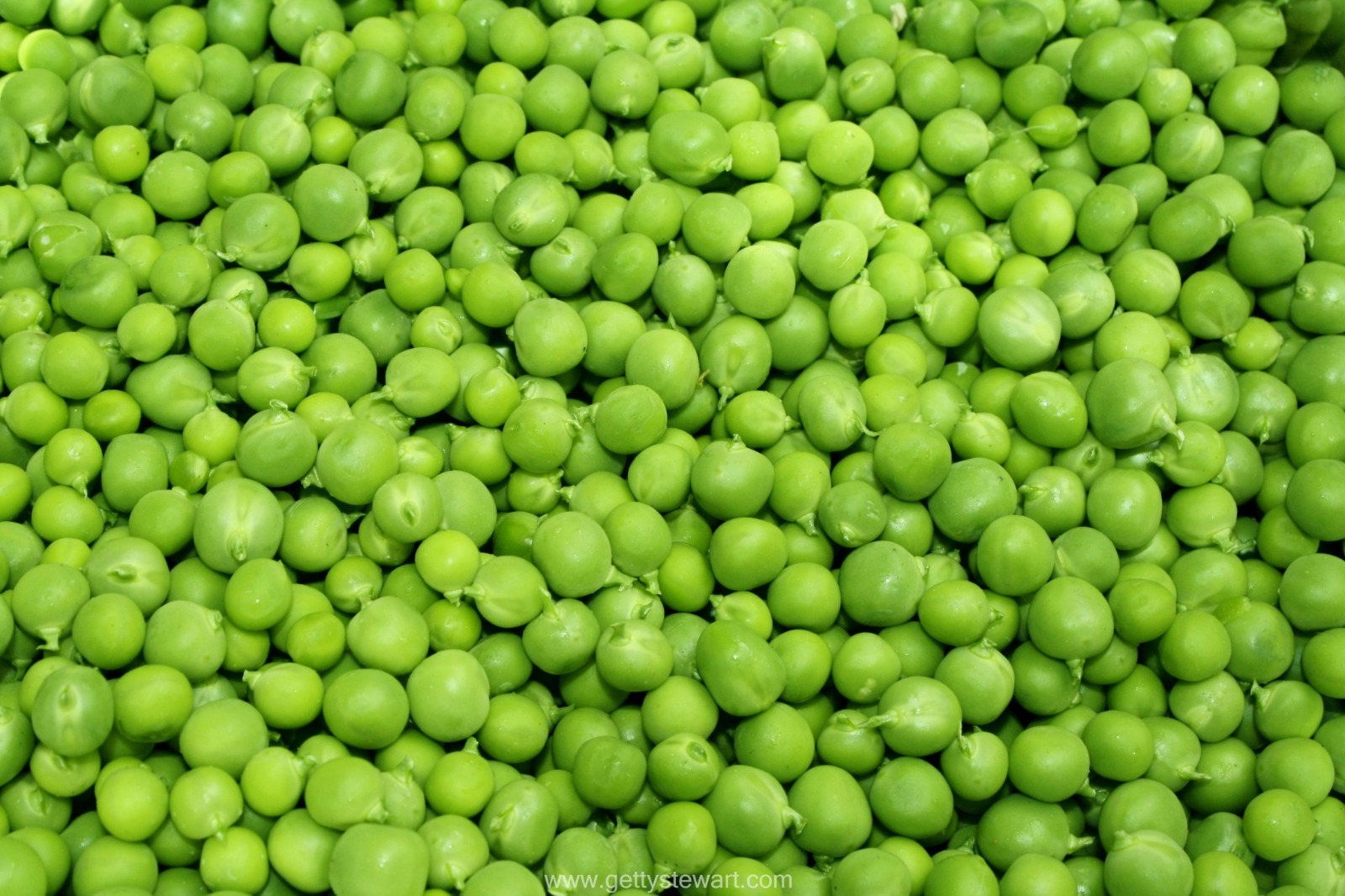 Garden Peas (minji)